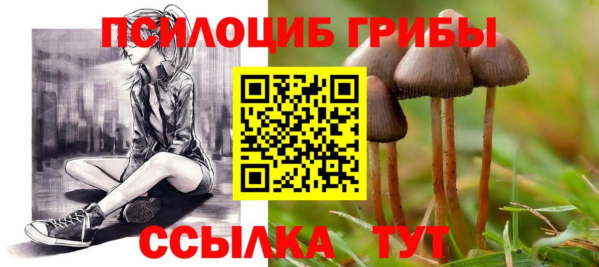 Рассказово  Галлюциногенные грибы мухоморы  Вход с VPN 