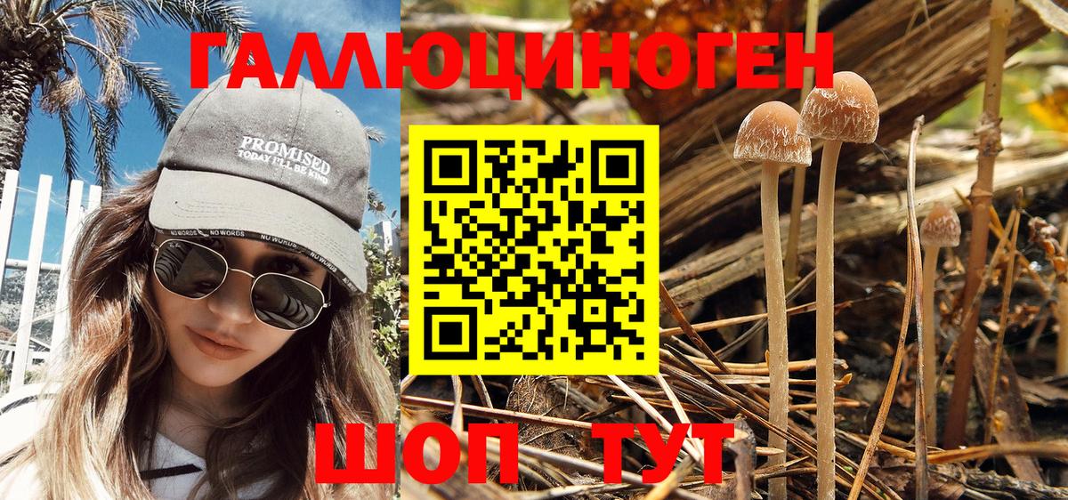 Псилоцибиновые грибы мухоморы Рассказово